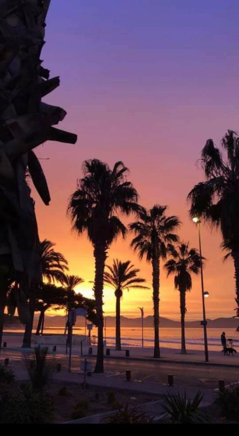 Studio Corniche Lägenhet La Ciotat Exteriör bild