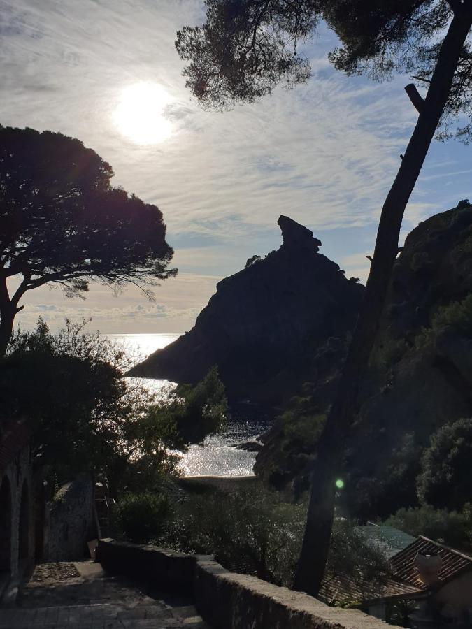 Studio Corniche Lägenhet La Ciotat Exteriör bild